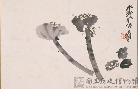 觀物之生藏品圖，第6張