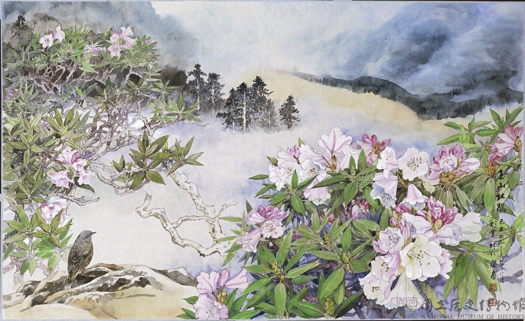 玉山杜鵑藏品圖，第1張