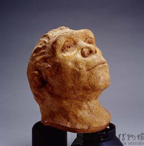 Reconstructed Model of the Peking Man Skull Collection Image, Figure 1, Total 2 Figures