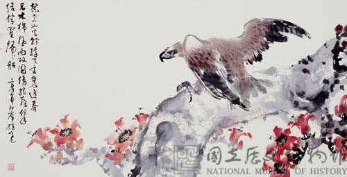 鷹藏品圖，第1張