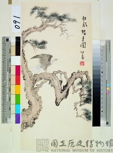 松鷹藏品圖，第1張