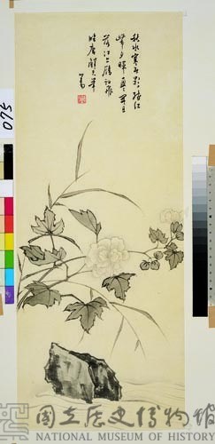 芙蓉花藏品圖，第1張