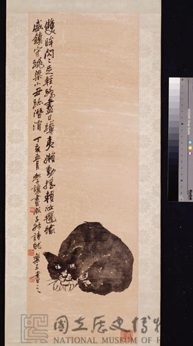 貓藏品圖，第1張