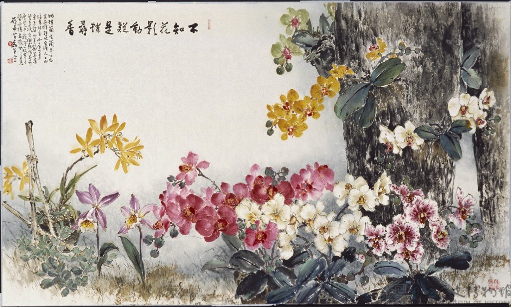 臺灣蝴蝶蘭藏品圖，第1張