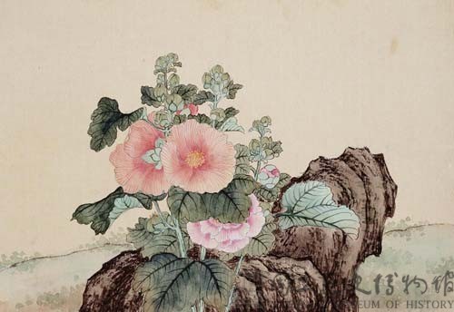 木菫花卉藏品圖，第1張