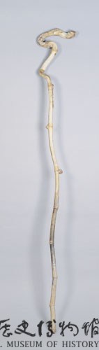 Bamboo Cane Collection Image, Figure 1, Total 2 Figures