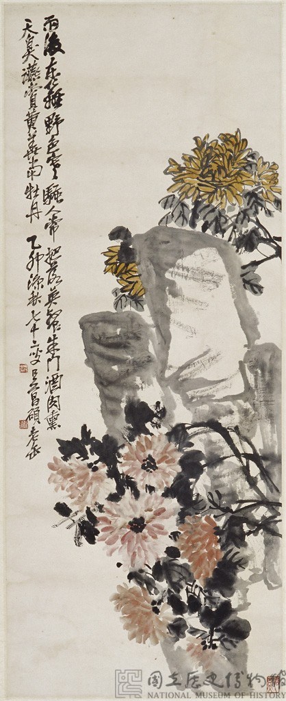 菊石圖藏品圖，第1張
