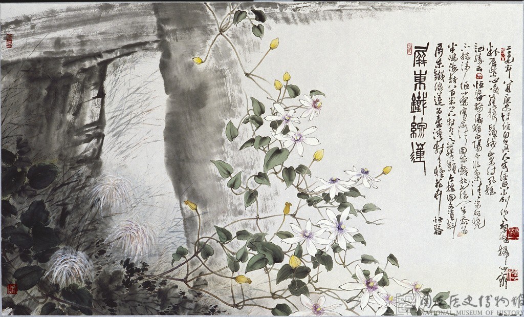 屏東鐵線蓮藏品圖，第1張