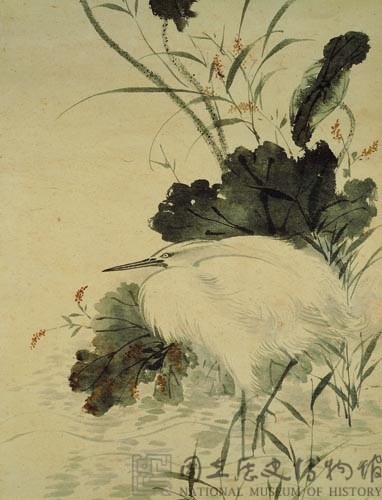 秋荷白鷺藏品圖，第4張