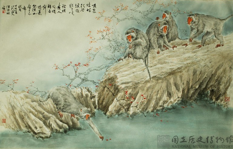 台灣獼猴藏品圖，第1張
