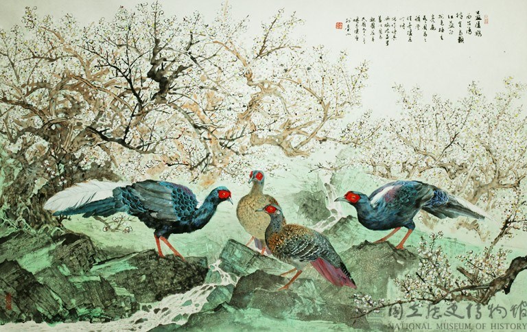 藍腹鷴藏品圖，第1張
