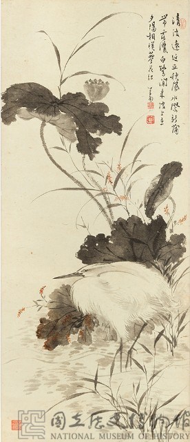 秋荷白鷺藏品圖，第1張