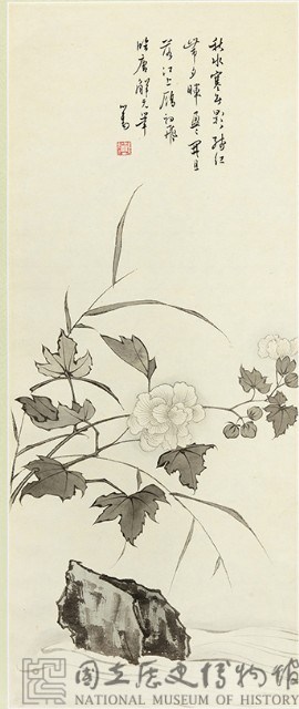 芙蓉花藏品圖，第2張