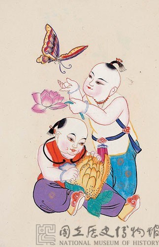福壽蝶蓮(門童)藏品圖，第2張