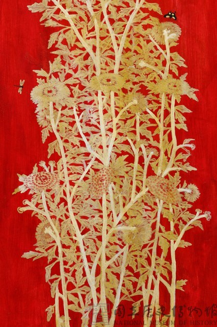 菊藏品圖，第4張
