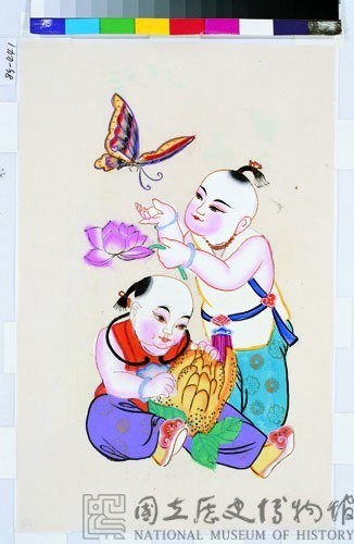 福壽蝶蓮(門童)藏品圖，第1張