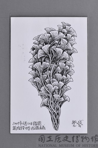台灣家書：生命行旅1藏品圖，第4張