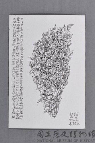 台灣家書：生命行旅1藏品圖，第7張