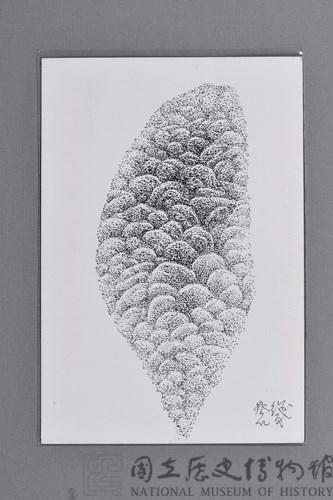 台灣家書：浮雲遊子1藏品圖，第6張
