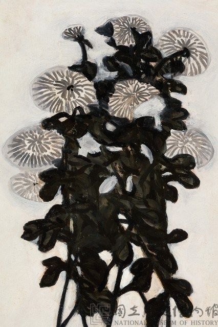 菊花藏品圖，第3張