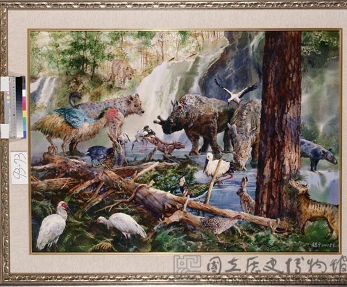 古第三紀生態復原圖藏品圖，第1張