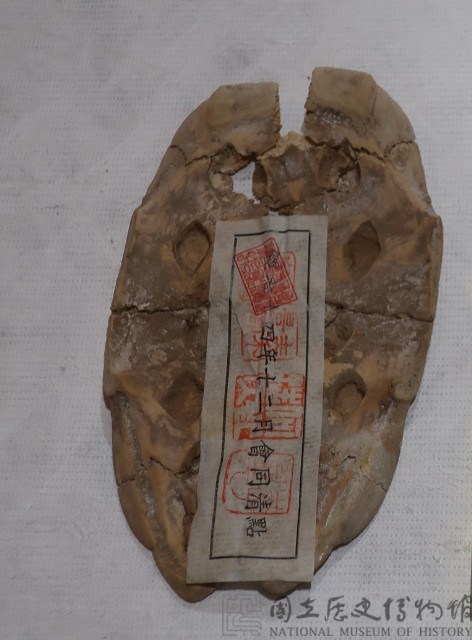 仿製有字龜甲藏品圖，第1張