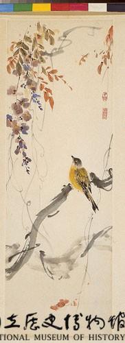 畫眉鳥藏品圖，第2張