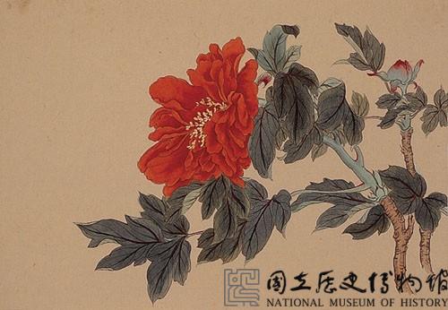 工筆牡丹藏品圖，第2張