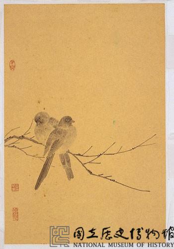 枯枝斑鳩藏品圖，第2張