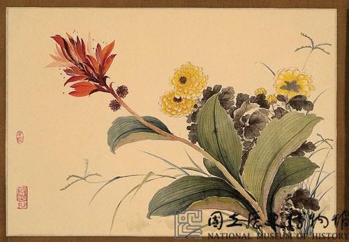 紅蕉黃菊藏品圖，第2張