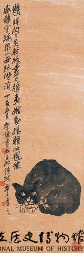 貓藏品圖，第2張
