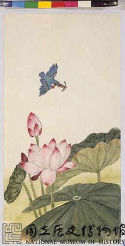 荷塘翠鳥藏品圖，第2張