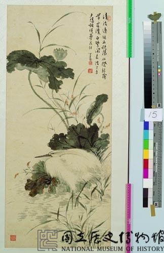 秋荷白鷺藏品圖，第2張