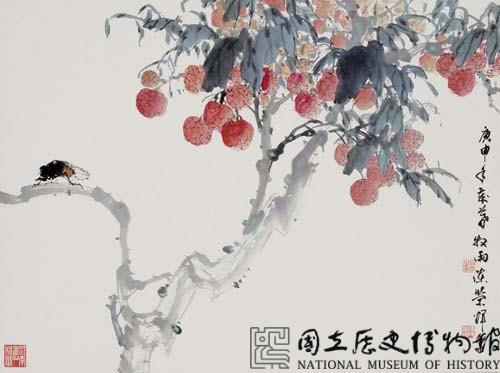 荔枝藏品圖，第1張