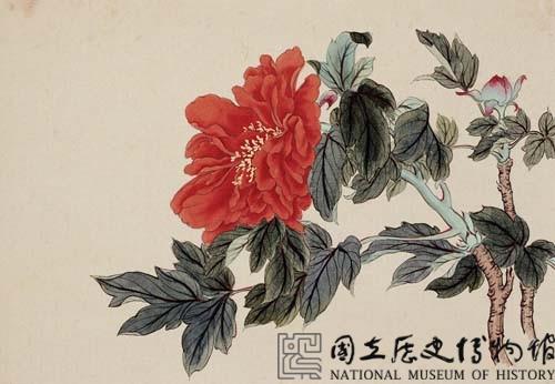 工筆牡丹藏品圖，第1張