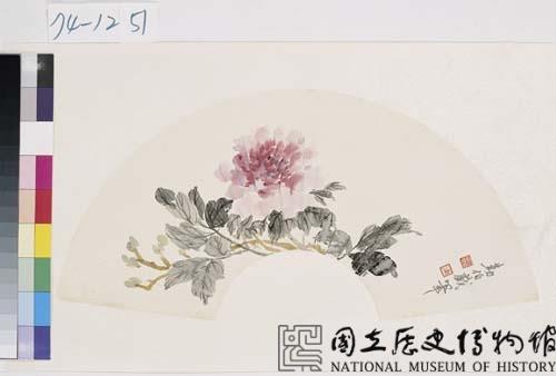 花卉藏品圖，第1張