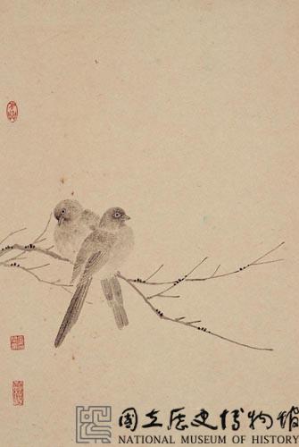 枯枝斑鳩藏品圖，第1張