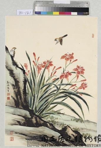 萱草花藏品圖，第1張