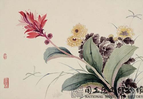 紅蕉黃菊藏品圖，第1張