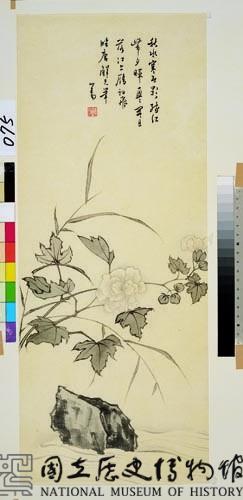 芙蓉花藏品圖，第1張