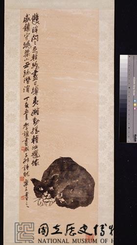 貓藏品圖，第1張