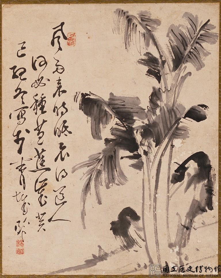 芭蕉藏品圖，第1張