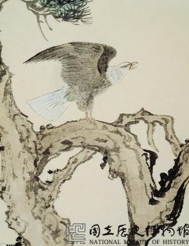 松鷹藏品圖，第2張