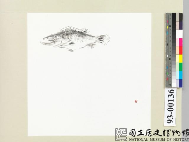 仿八大山人魚鳥藏品圖，第5張