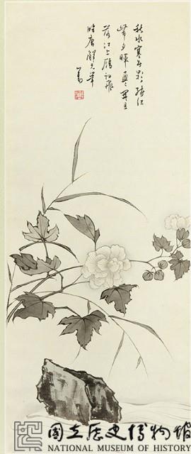 芙蓉花藏品圖，第2張
