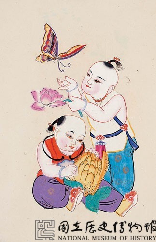福壽蝶蓮(門童)藏品圖，第2張