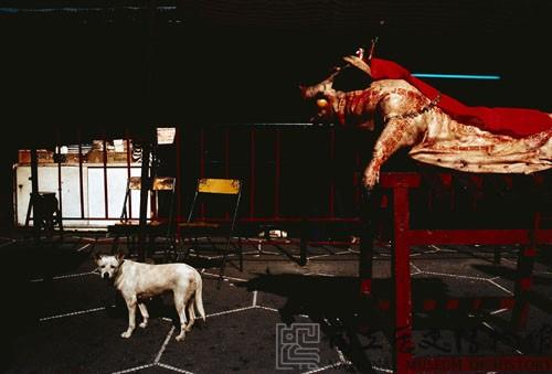 祭典藏品圖，第1張