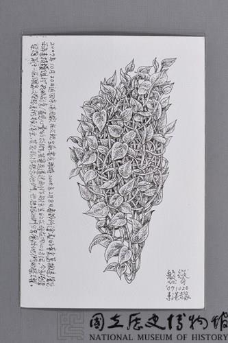 台灣家書：生命行旅1藏品圖，第7張