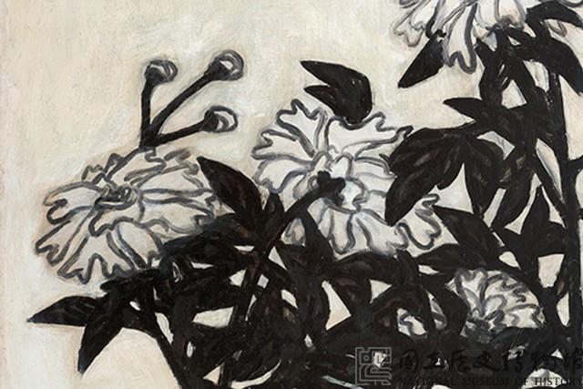 菊藏品圖，第5張