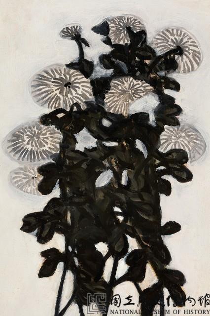 菊花藏品圖，第3張